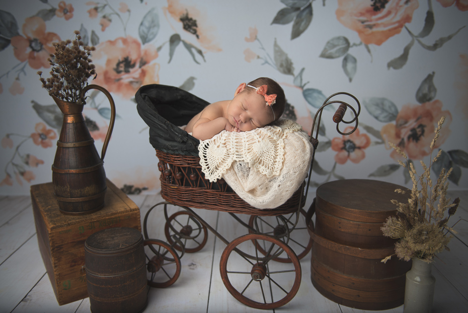 Newborn girl photo in antique stroller
